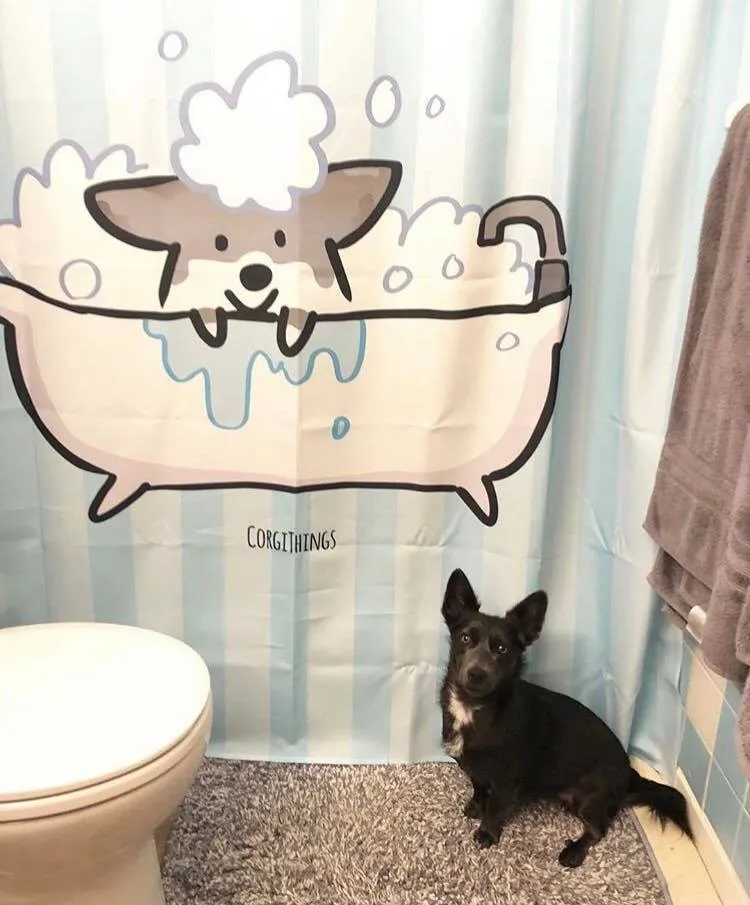 Corgi Bathtime Shower Curtain | 70"x 74"