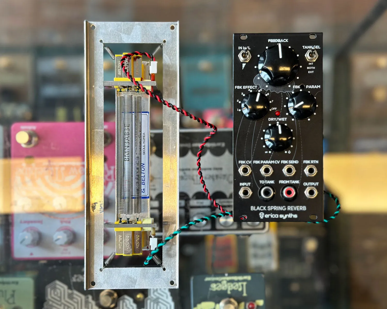 Erica Synths Black Spring Reverb with Belton BMN3AB3E