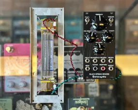 Erica Synths Black Spring Reverb with Belton BMN3AB3E